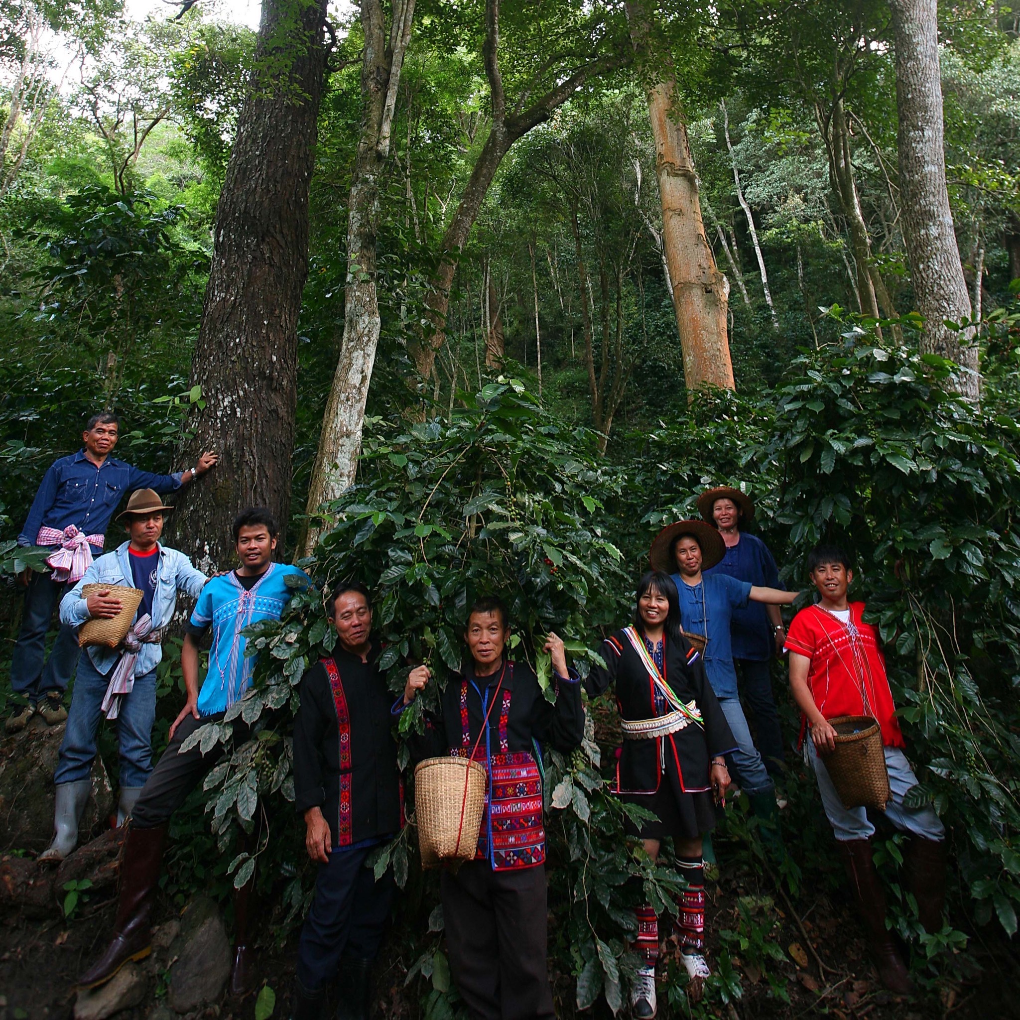 ภาพที่ 4